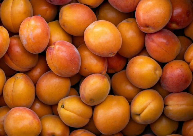 Apricot Kernel Oil