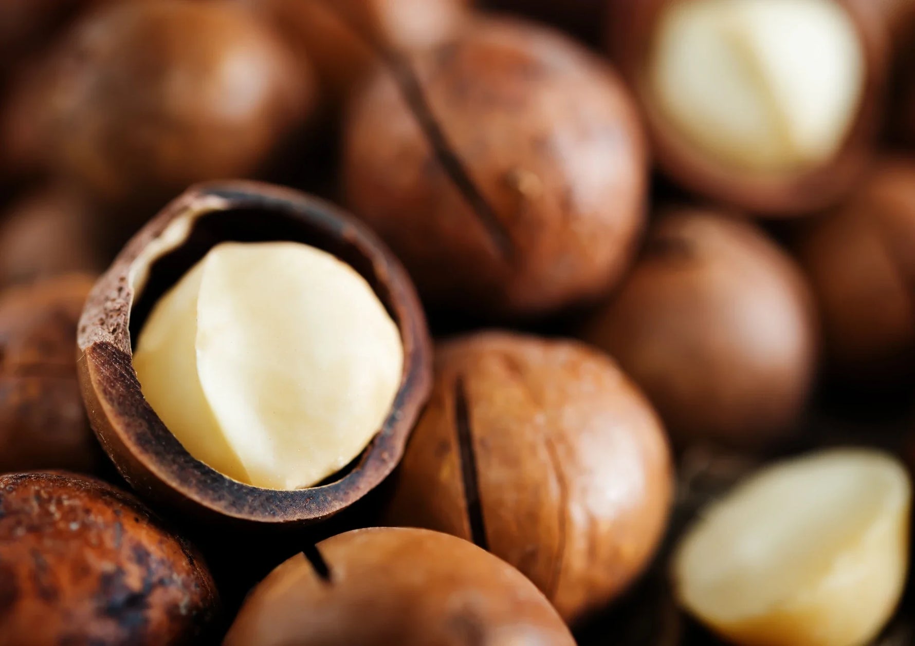 Macadamia Integrifolia Seed Oil (Macadamia olie)