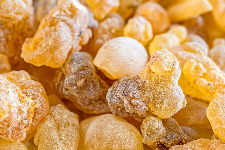 Boswellia Serrata Gum