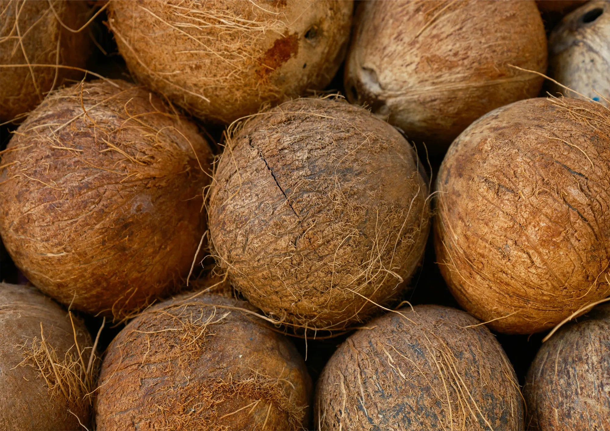 Caprylic/capric triglyceride