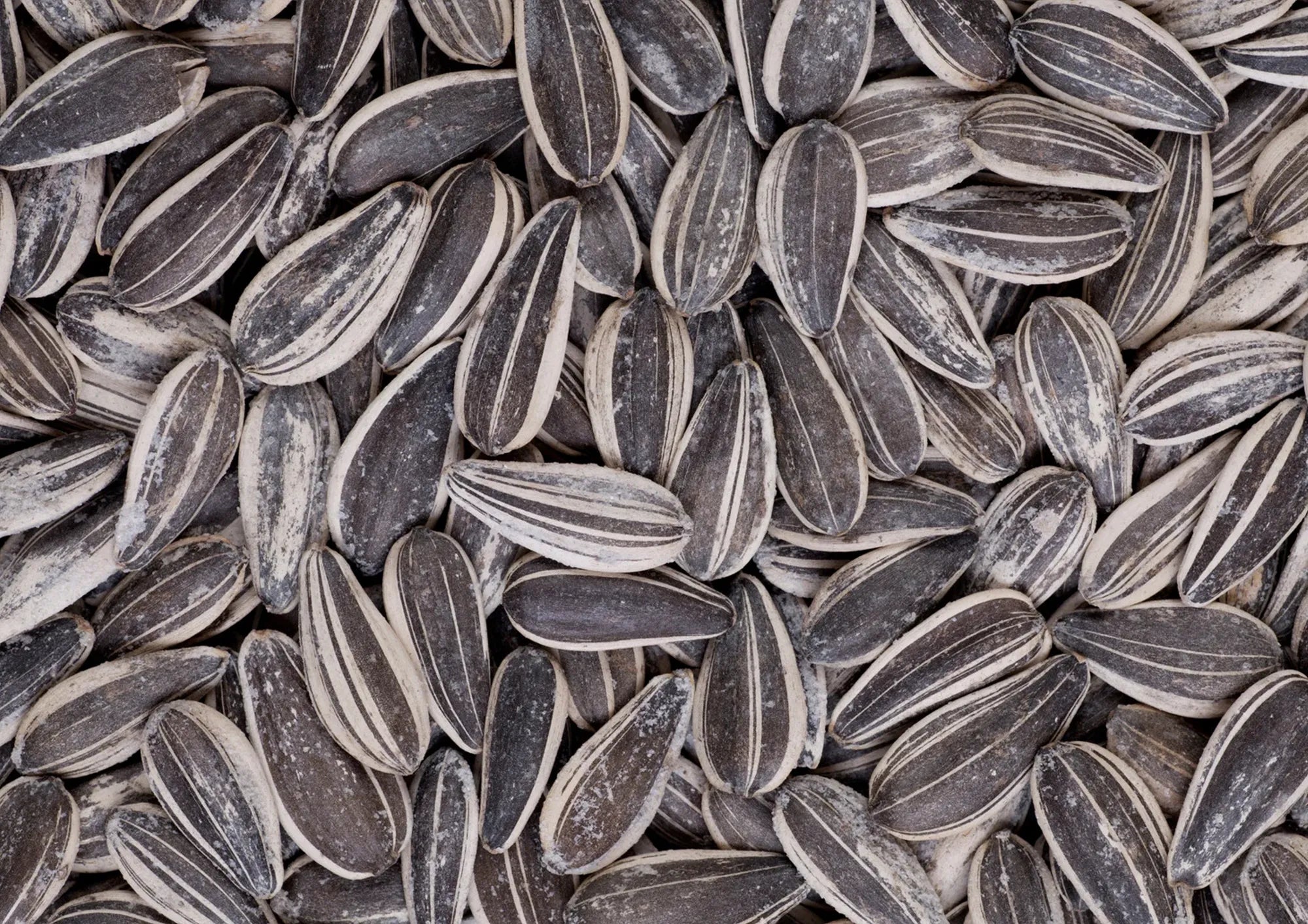 Helianthus Annuus Seed Oil