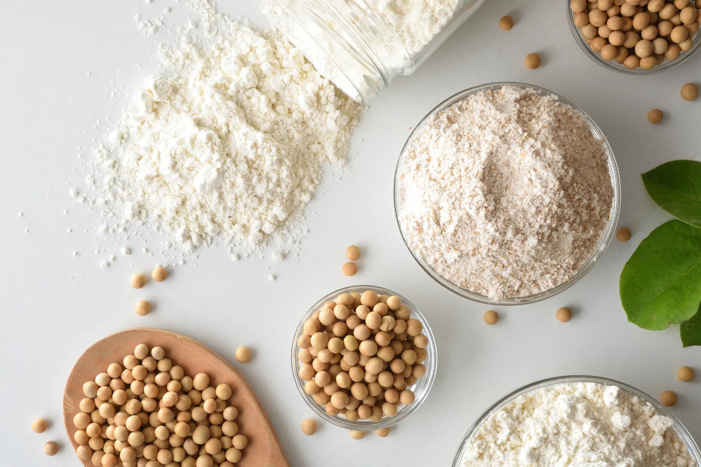 Hydrolyzed Soy Protein