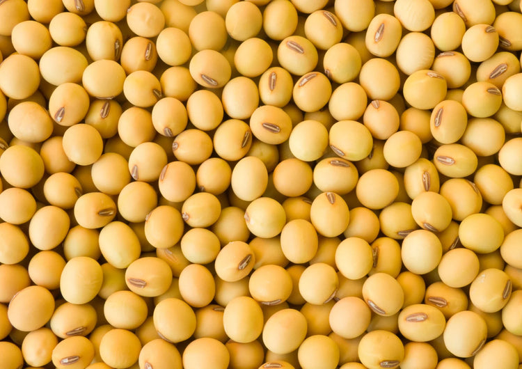 Phospholipids (Fosfolipiden)