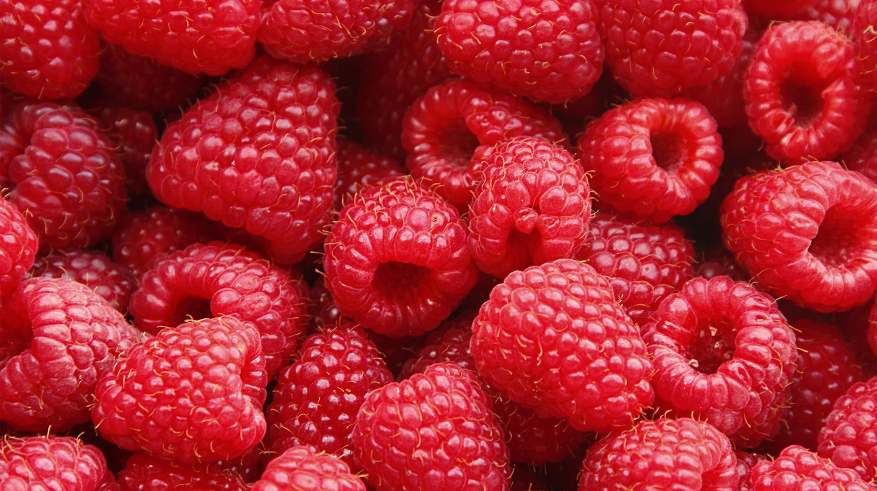 Raspberry Seed Scrub (Rubus Idaeus Seed)