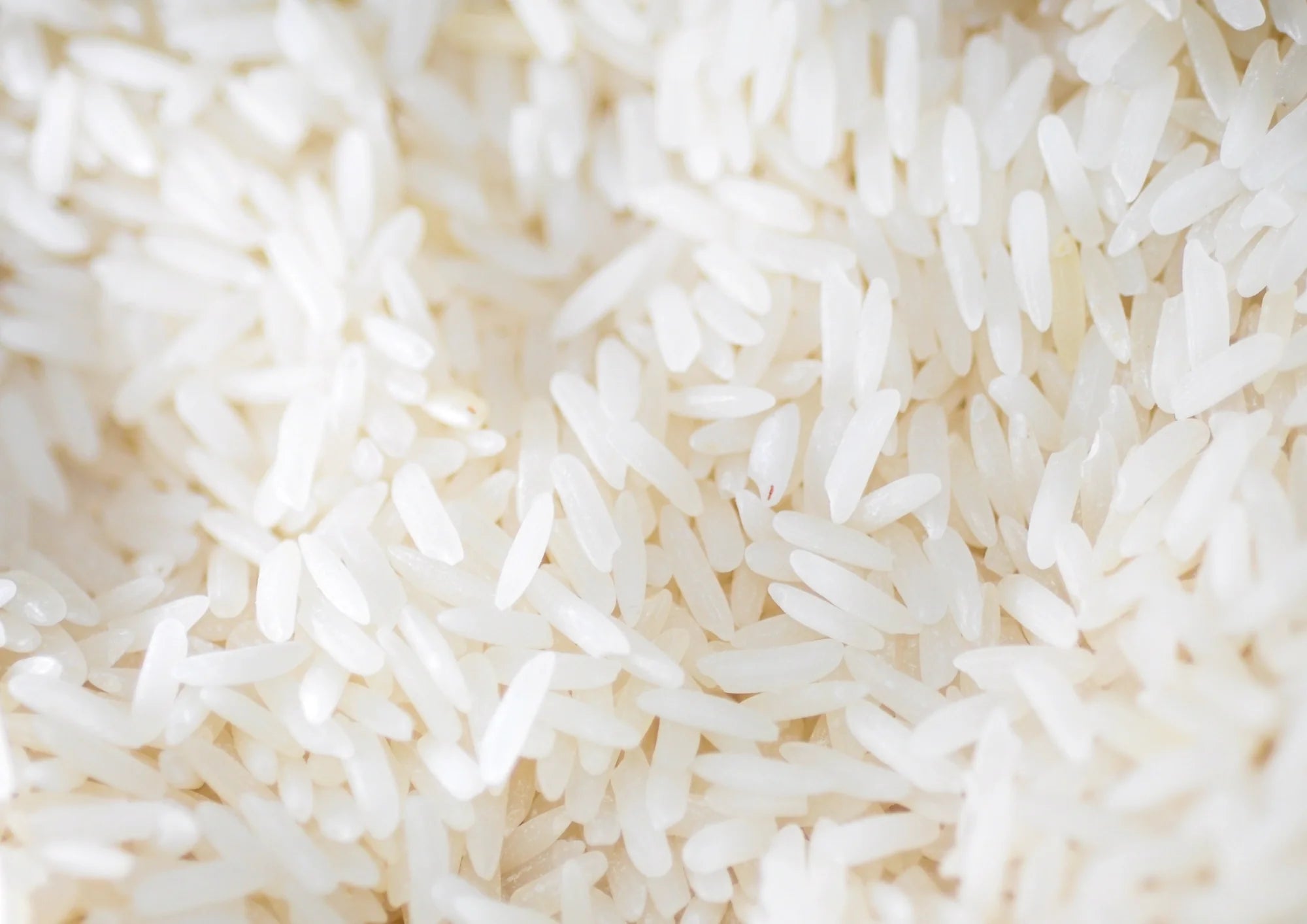 Oryza Sativa Strach (rijstzetmeel)