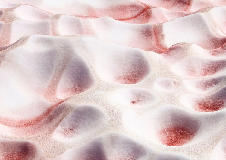 Snow Algae Powder™