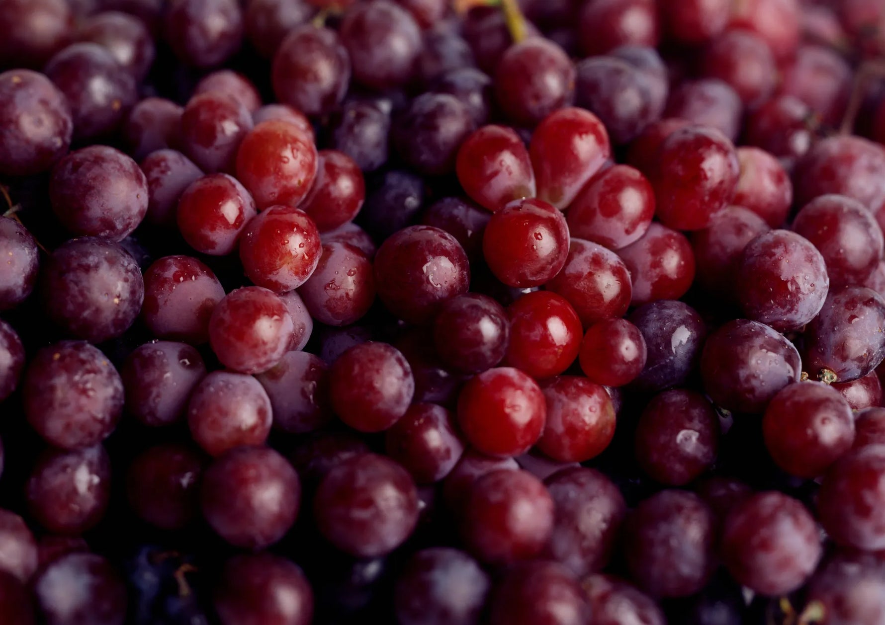 Vitis Vinifera (Grape) Fruit Cell Extract