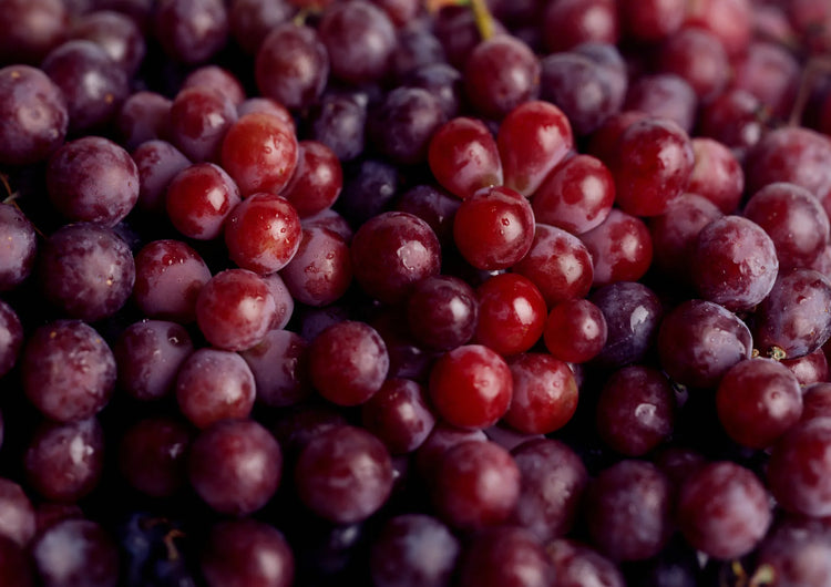 Vitis Vinifera (Grape) Fruit Cell Extract