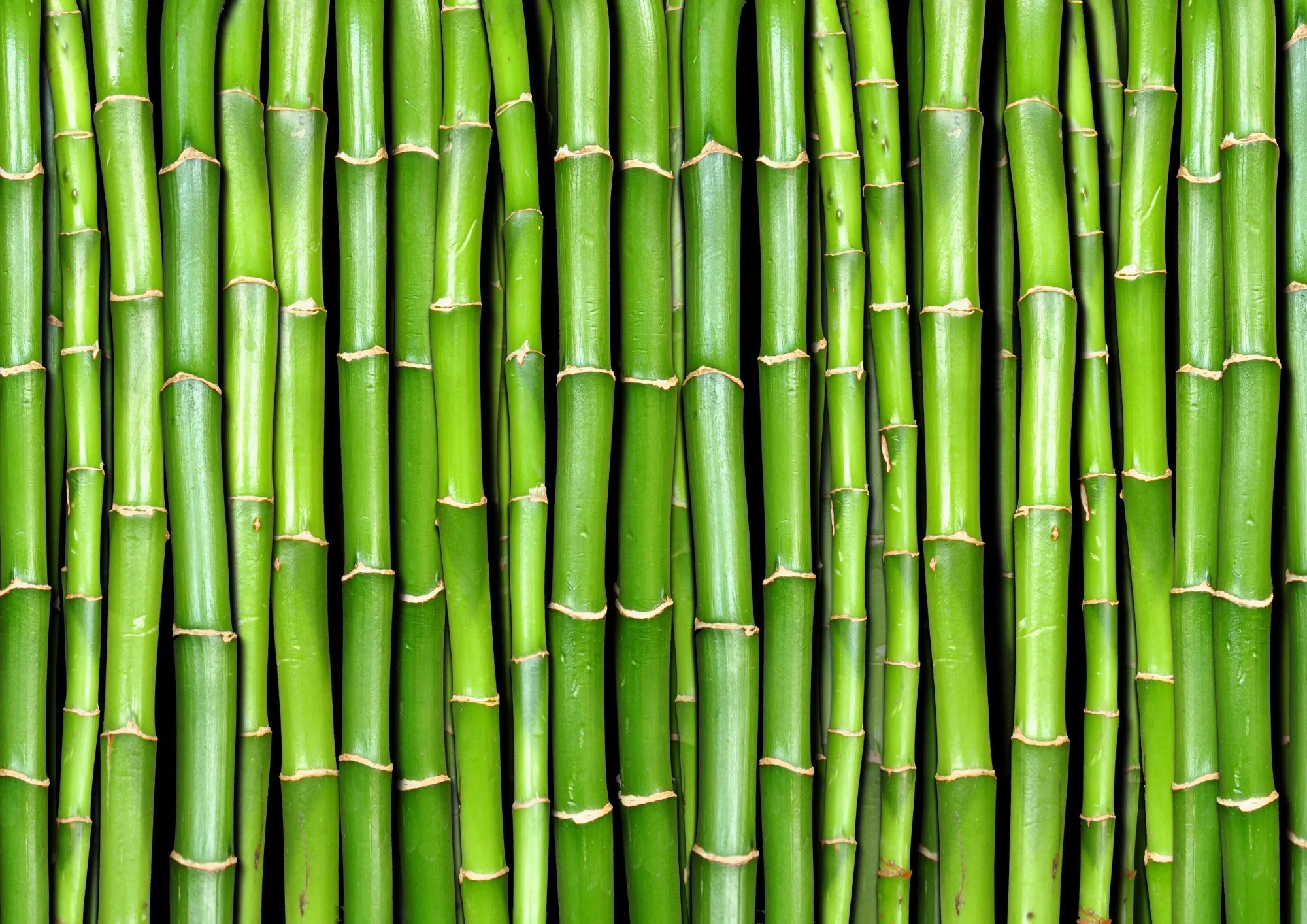 Bamboo Scrub (Bambusa Arundinacea Powder)